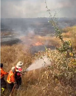 Bombeiros do RN combatem incêndio na zona rural de Apodi