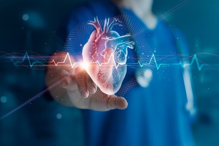 Cardiologista compartilha 5 alimentos que “limpam” os vasos sanguíneos
