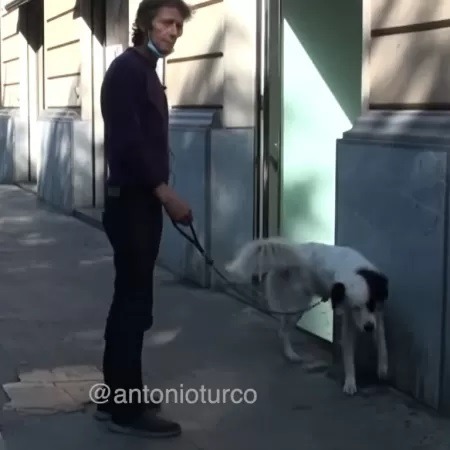 Ex-jogador italiano mora na rua com cachorro e luta contra vício de drogas