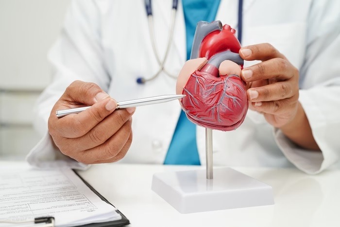 Estudo revela bebidas que podem prevenir paradas cardíacas; veja