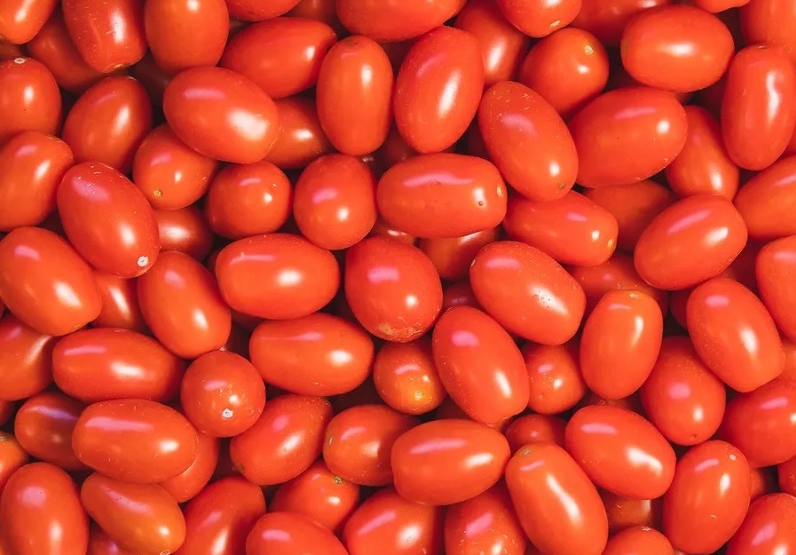 Preço do tomate sobe mais de 30% em abril e custo da cesta básica chega a R$ 657 em Natal