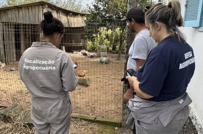 Ministério da Agricultura tentou distribuir testes de gripe aviária com certificado vencido