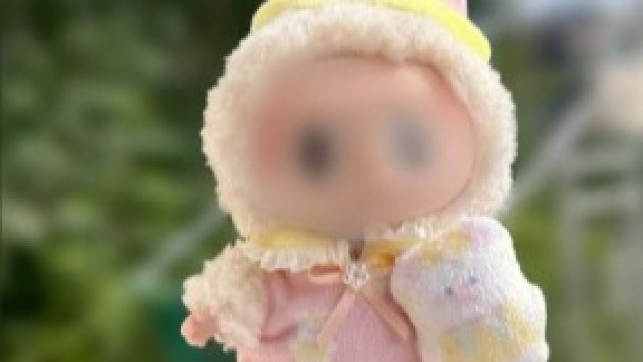 Depois do bebê Reborn, vem aí a Labubu, boneca famosa que viralizou no TikTok