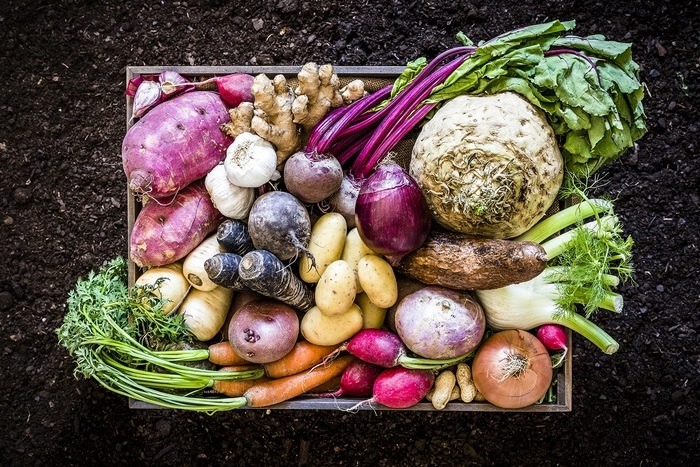 Servidor público desvia 7,5 toneladas de alimentos doados a hospital