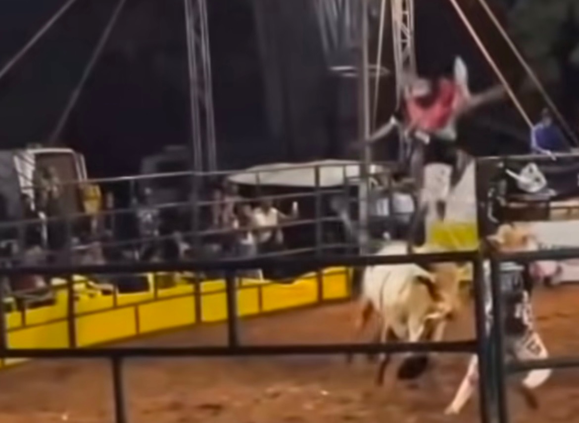 VÍDEO: Salva-vidas “monta” em touro por acidente e vira estrela de rodeio