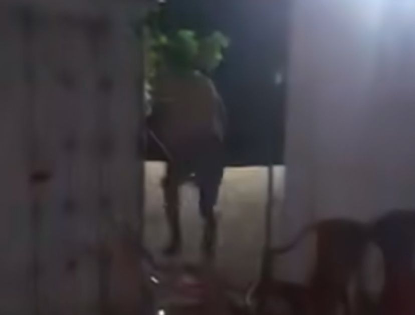 VÍDEO: 'Casa de drinks' do RN viraliza após fazer vídeos com clientes fugindo