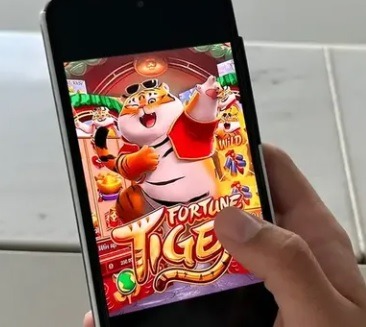 VÍDEO: Diarista furta R$ 500 mil de casal de idosos para jogar no tigrinho