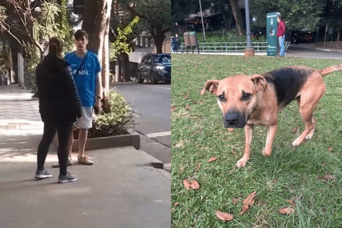 Família denuncia ataque xenofóbico e cão é morto a navalhadas na rua