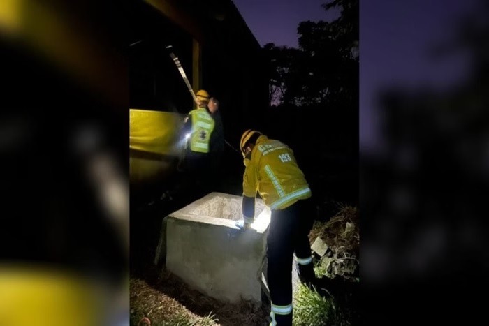 Homem morre ao cair e se afogar em fossa de porcos