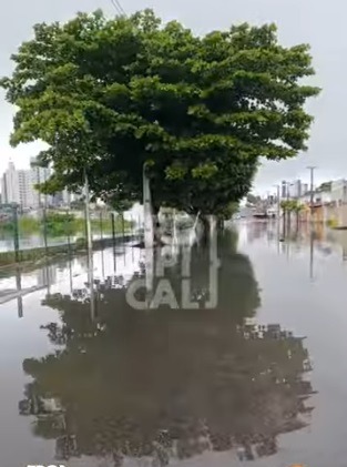 VÍDEO: Lagoa de São Conrado transborda e invade casas no bairro Nazaré; animais precisam ser resgatados
