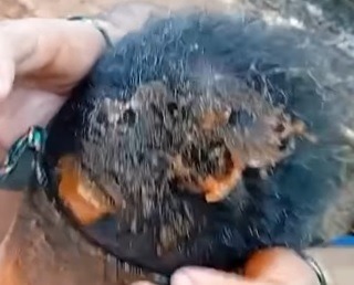 VÍDEO: Filho usa ketchup para armar falso sequestro e tirar dinheiro da mãe