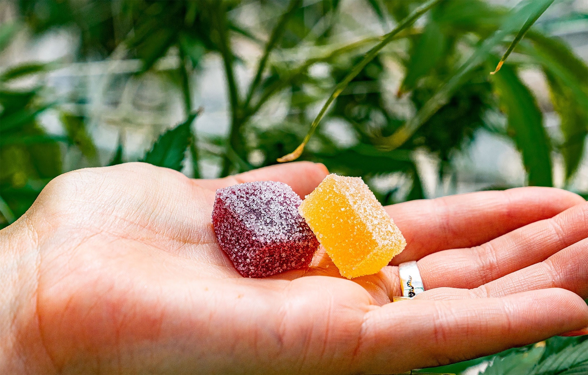 Empresa retira doces dos mercados após encontrarem maconha em pacotes; veja qual