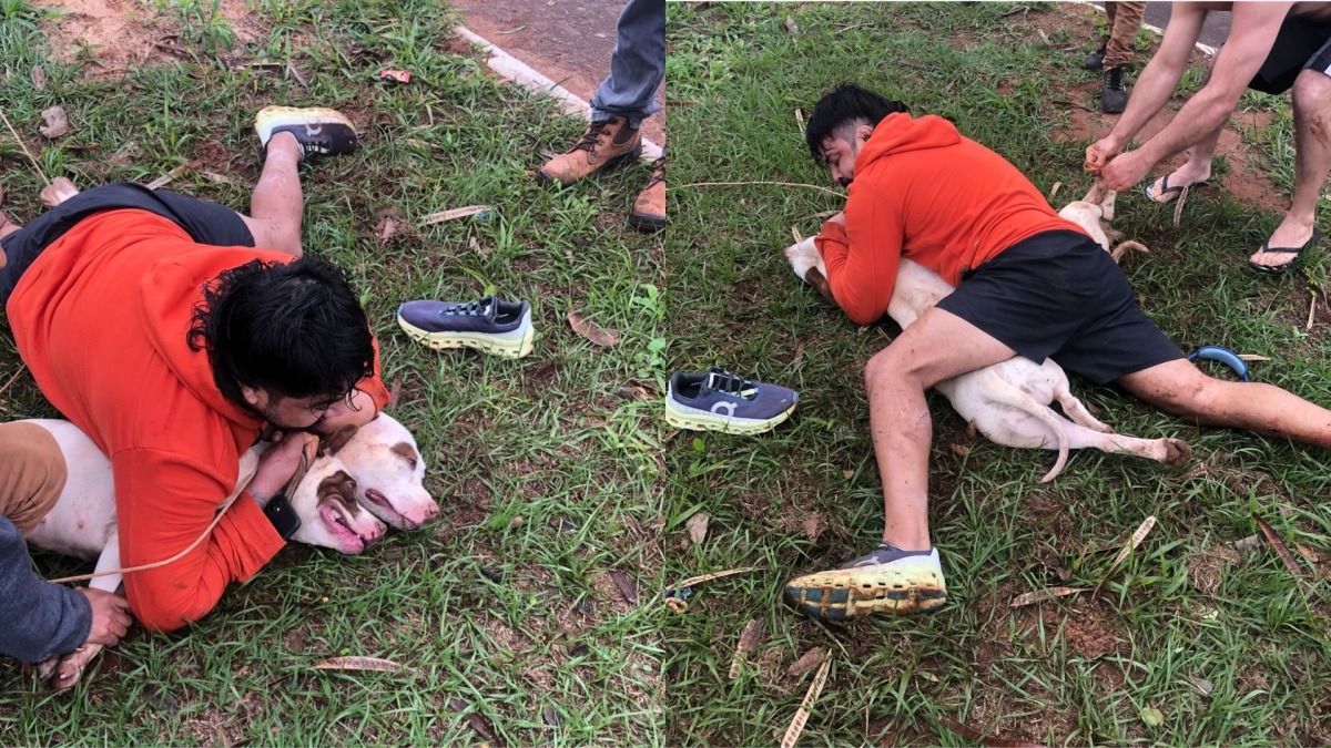 VÍDEO: Lutador de muay thai imobiliza dois pitbulls após ser atacado durante corrida
