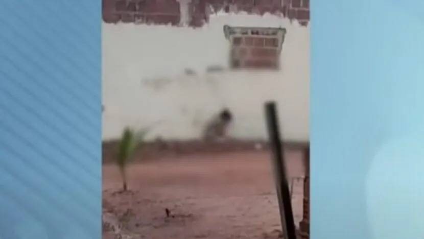 Crianças vítimas de maus-tratos em Touros serão acolhidas por tia em Natal