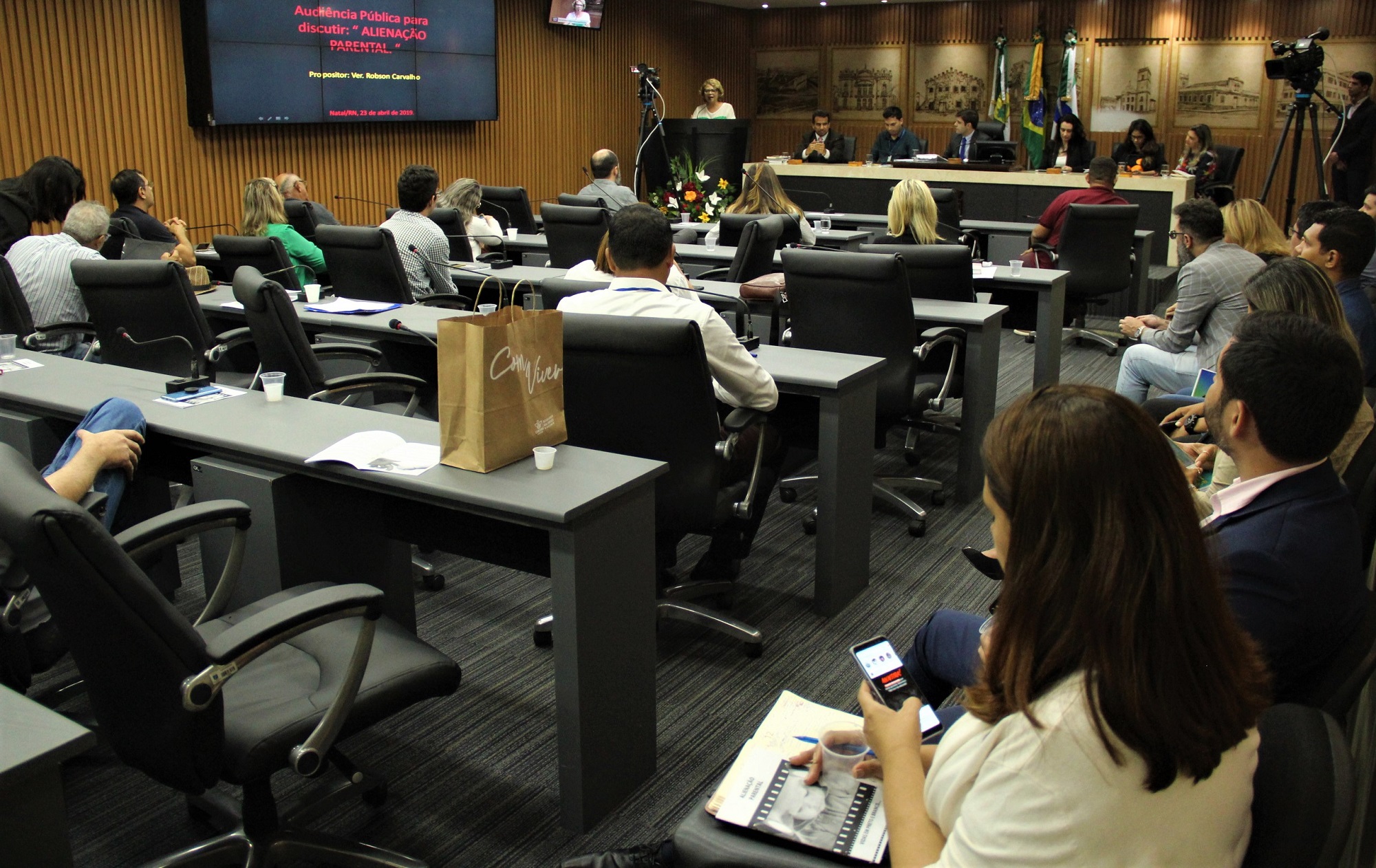 Câmara debate efeitos da alienação parental no desenvolvimento dos jovens
