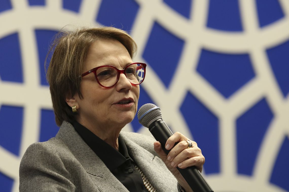 Ministra diz que Brasil é potência em agronegócio e meio ambiente