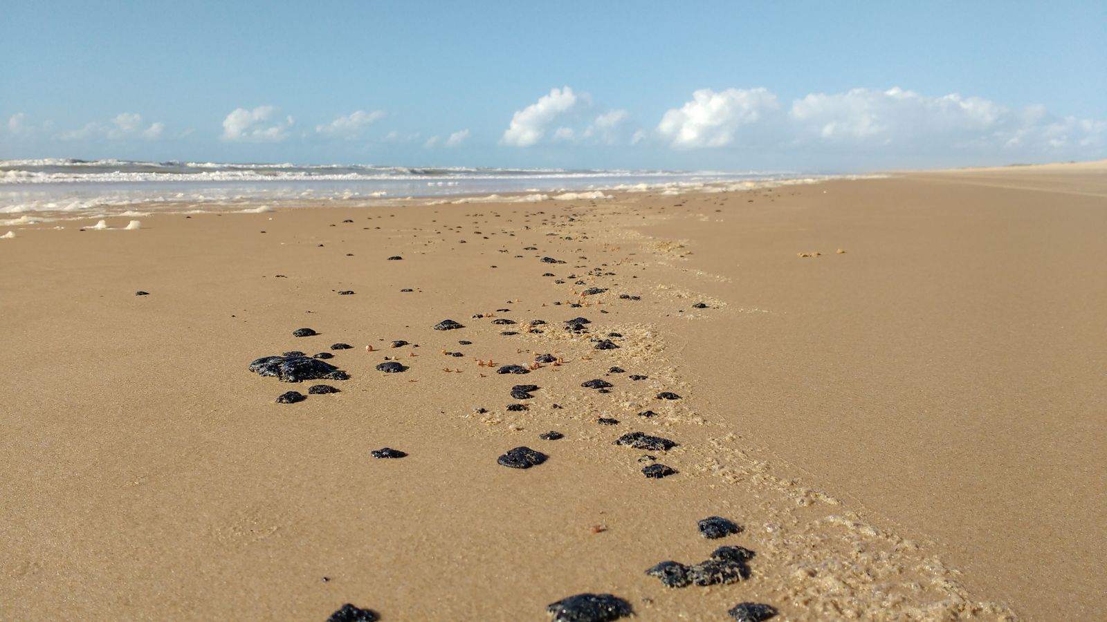 MPF emite recomendação a cidades do RN sobre manchas de óleo no litoral