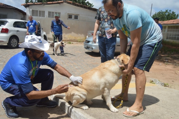 Natal encerra Campanha de Vacinação Antirrábica nesta sexta