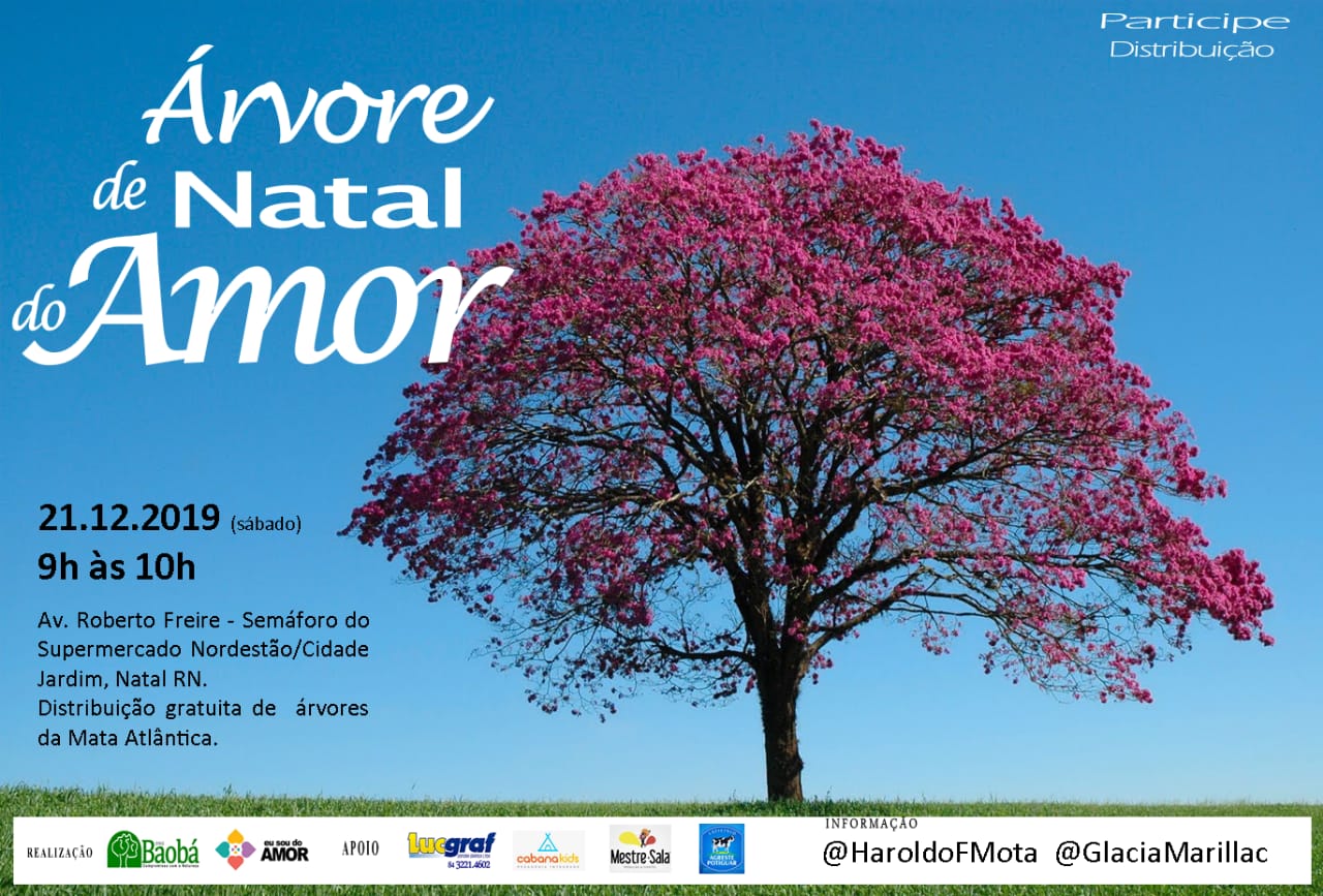 Distribuição de Árvores de Natal do Amor em Natal