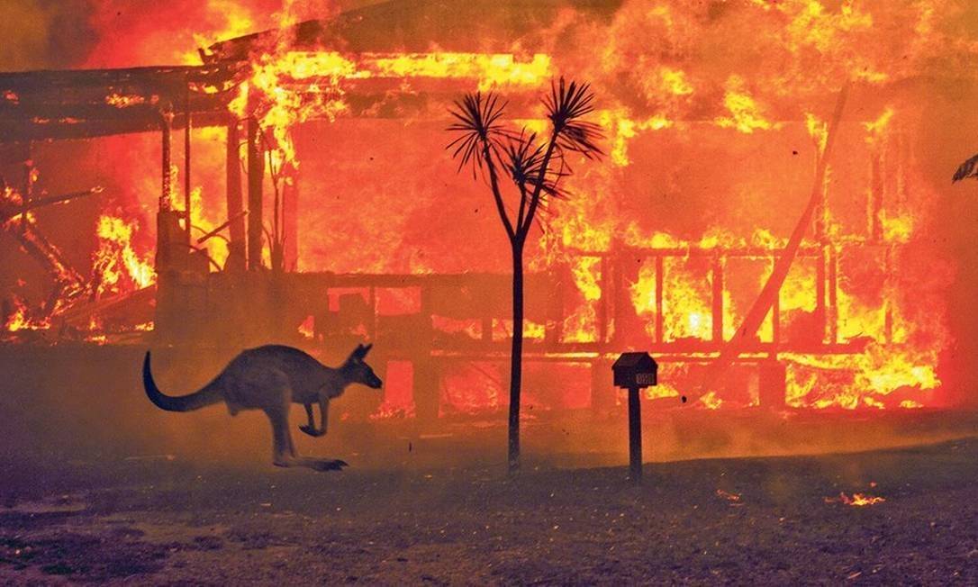 Austrália terá 1,2 bi de euros para recuperar áreas afetadas pelo fogo