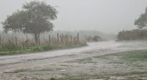 Território do RN só ficou um dia sem chuvas no mês de fevereiro