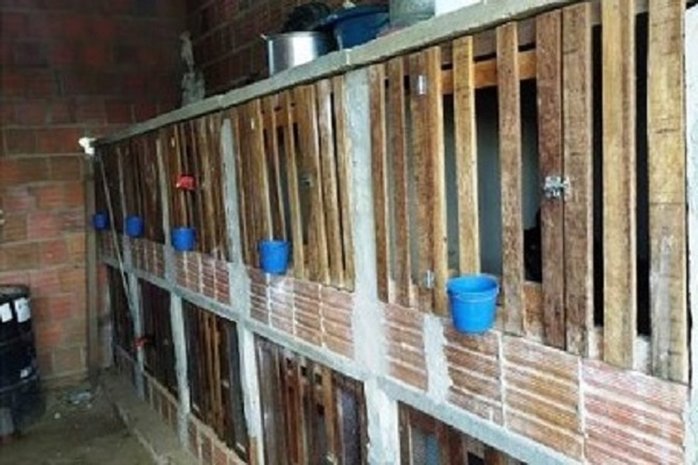 PM prende 27 pessoas em rinha de galo no interior do RN
