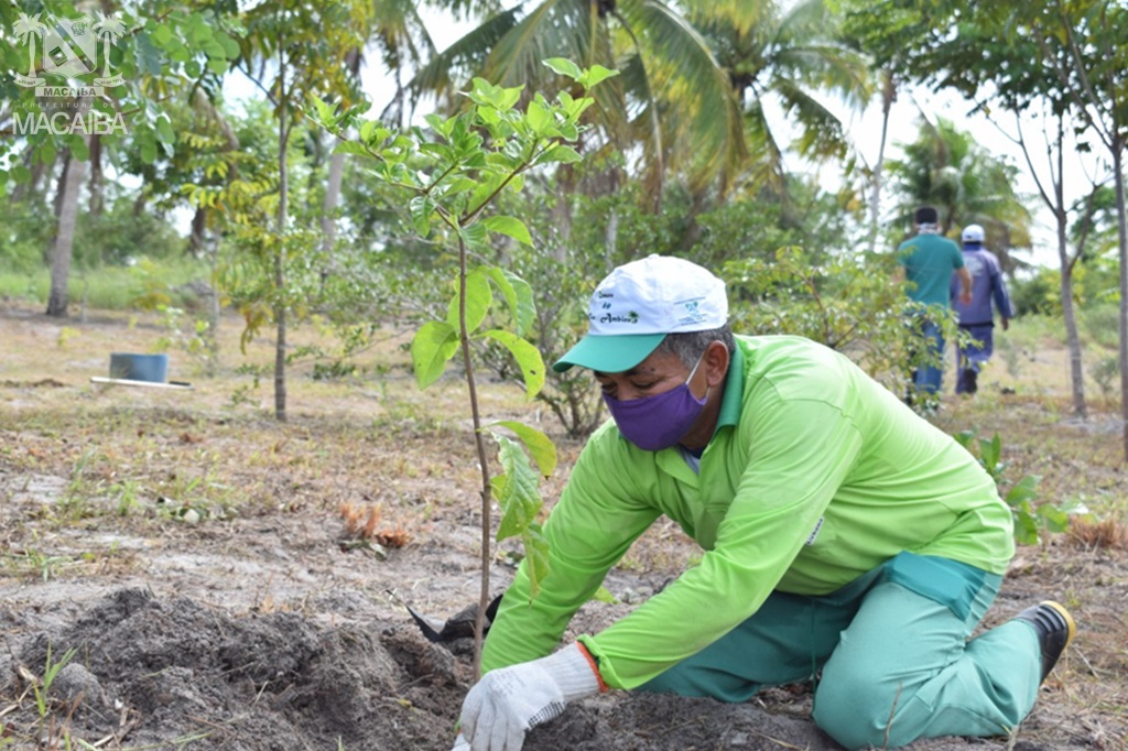 Dia do Meio Ambiente em Macaíba tem plantio de mudas às margens do Rio Pitimbu