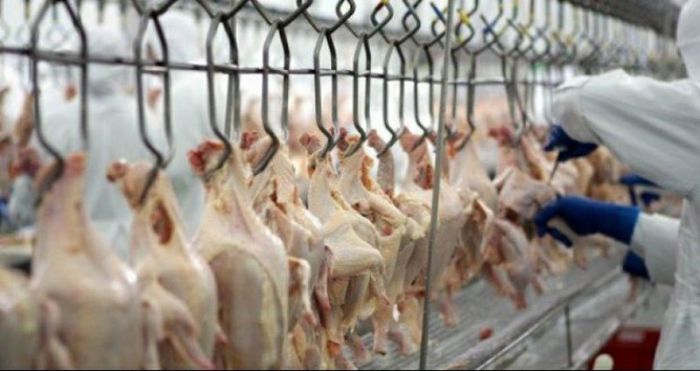 Filipinas suspendem compra de frango do Brasil por medo de coronavírus