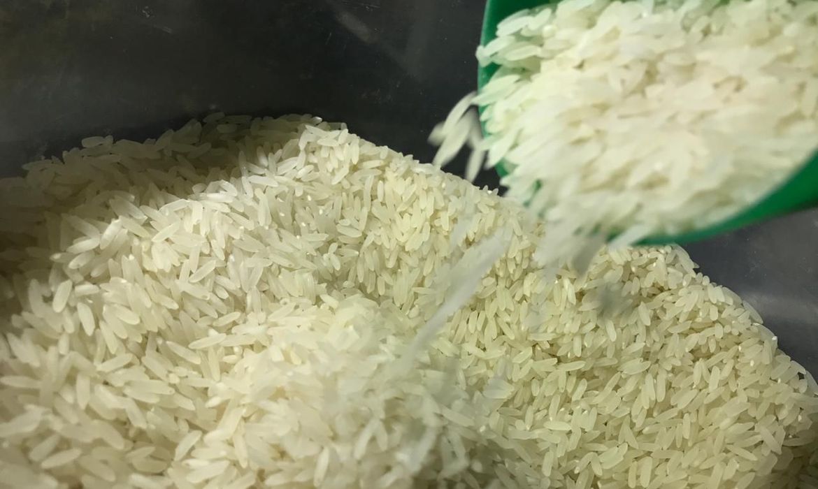 Para conter aumento, Governo zera imposto de importação do arroz até fim do ano