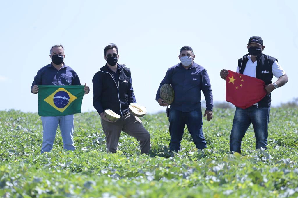 Melão potiguar começa a ser exportado para a China
