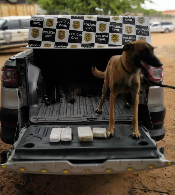Drogas são encontradas em carro apreendido pela polícia em Mossoró