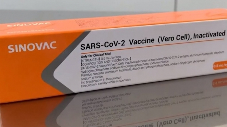 CoronaVac é 83,5% eficaz contra covid-19, diz universidade turca