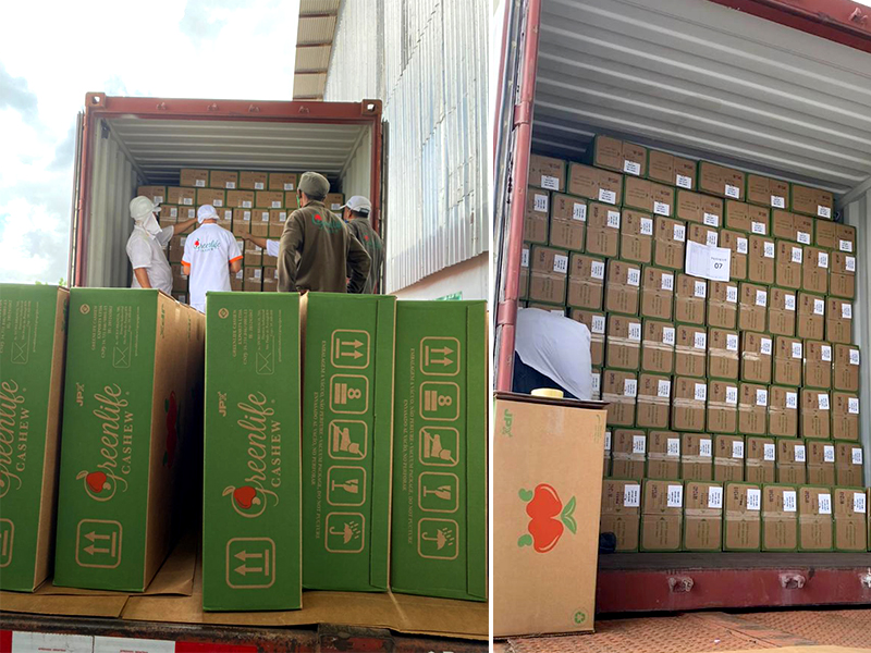 Empresa potiguar inicia exportações de castanhas de caju para os EUA