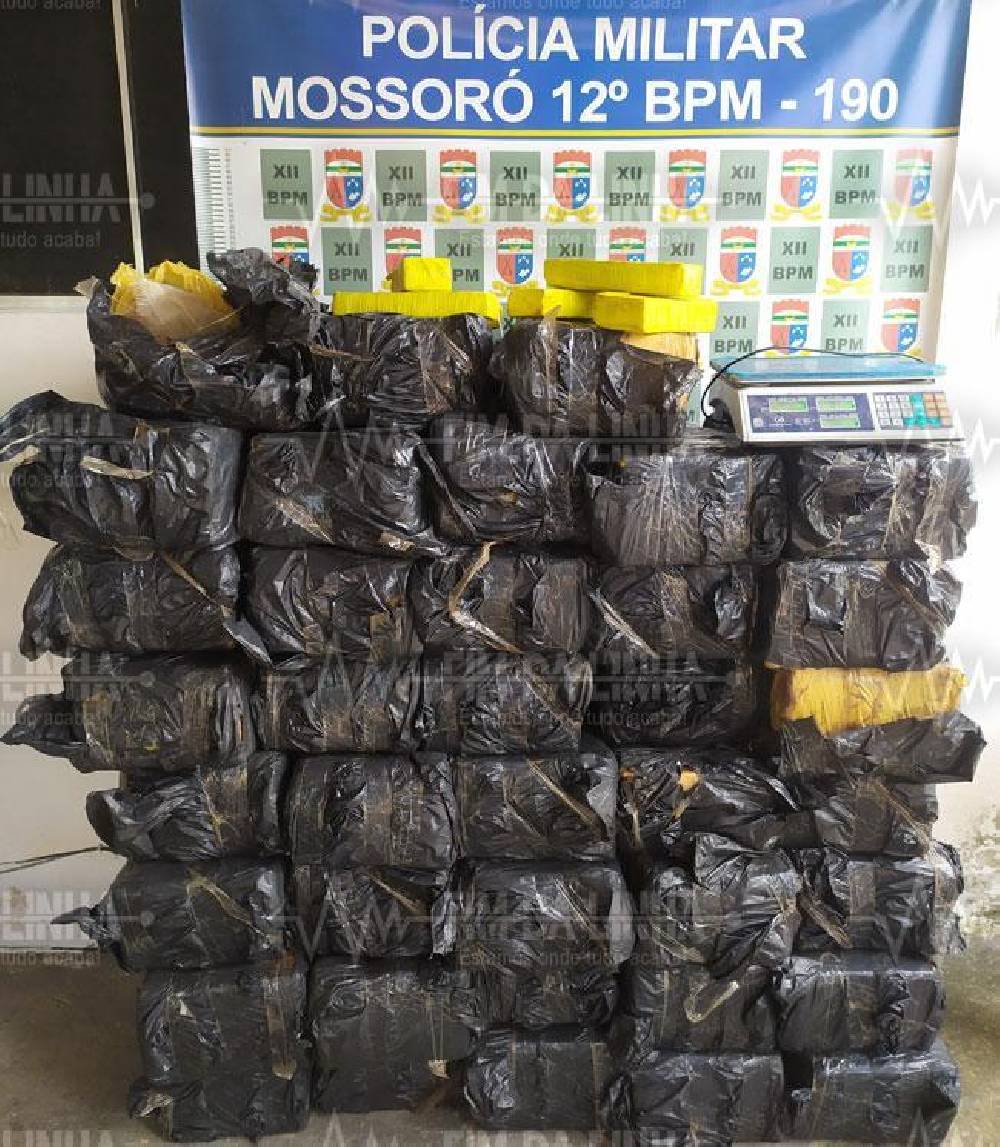 Polícia apreende quase 700 kg de maconha em cidade do RN