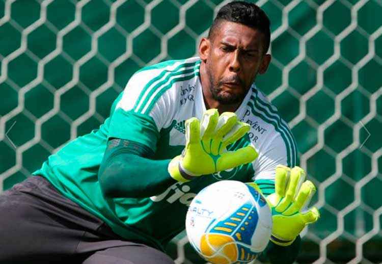 Ex-goleiro do Palmeiras é internado na UTI com covid