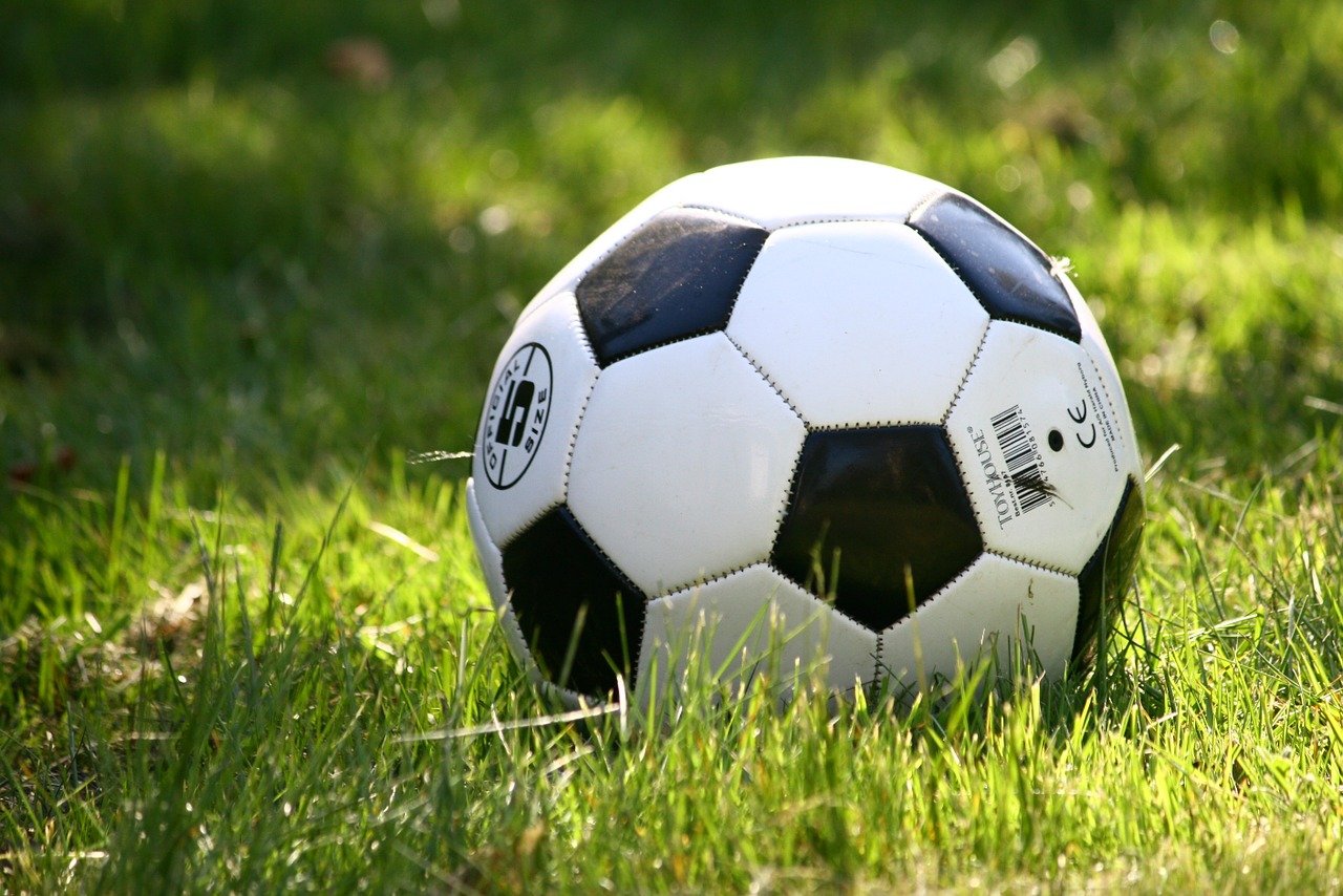 Com Brasil e Holanda em campo, confira onde assistir aos jogos desta quinta