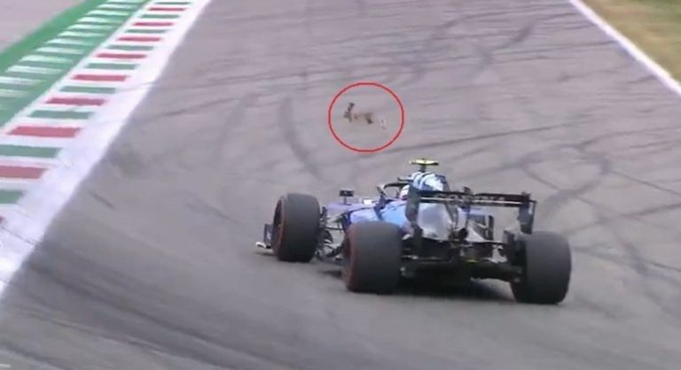 Coelho invade a pista e quase é atropelado na Fórmula 1; assista
