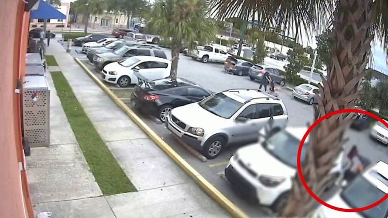 Vídeo: Menininha de 9 anos luta contra assaltante para defender a mãe; assista