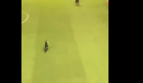 Vídeo mostra torcedor do Santos agredindo jogador do Unión La Calera