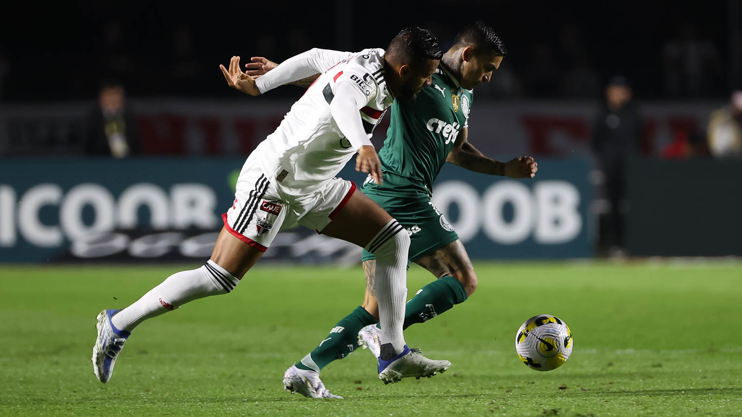 São Paulo x Palmeiras, Fluminense x Cruzeiro e Grêmio na Série B; confira os jogos de hoje
