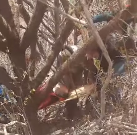 VÍDEO: Piloto de parapente sofre acidente em Sítio Novo